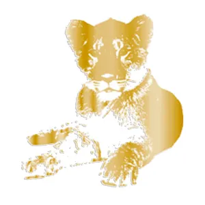 Tfd-Foil Transfer Lion Cub